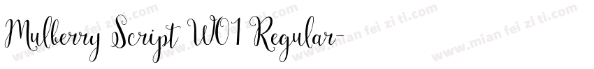 Mulberry Script W01 Regular字体转换